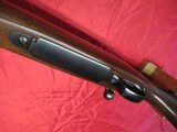Winchester Pre 64 Mod 70 Std 243 Nice! - 12 of 20