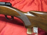 Winchester Pre 64 Mod 70 Varmint 243 - 19 of 21