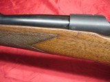 Winchester Pre 64 Mod 70 Std 243 - 15 of 19