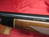 Remington 700 BDL Varmint 22-250 Nice!! - 13 of 18