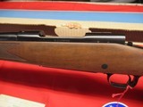 Winchester Mod 70 243 NIB! - 15 of 22