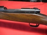Winchester Pre 64 Mod 70 Varmint 243 - 17 of 20