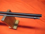Henry Varmint Express 17 HMR - 7 of 22