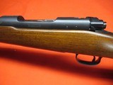 Winchester Pre 64 Mod 70 Std Metal Butt 243 MINT!! - 18 of 21