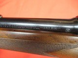 Winchester Pre 64 Mod 70 Fwt 243 LOW COMB! - 16 of 21