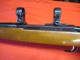 Ruger 77/22 22 Hornet - 15 of 20