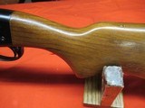 Remington 572 22 Shot - 18 of 20