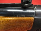 Ruger No 1 243 Win - 13 of 17