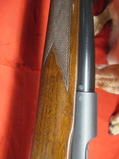Winchester Pre 64 Model 70 Std 30-06 - Image 15 of 19