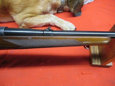 Winchester Pre 64 Model 70 Std 30-06 - Image 5 of 19