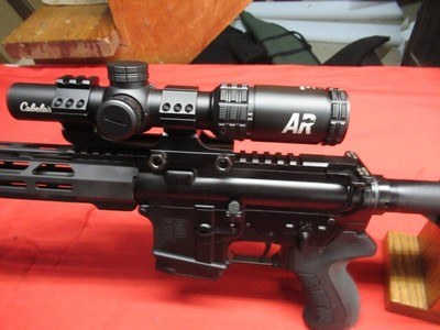 Diamondback DB15 5.56 with Cabelas AR Scope - Image 14 of 19
