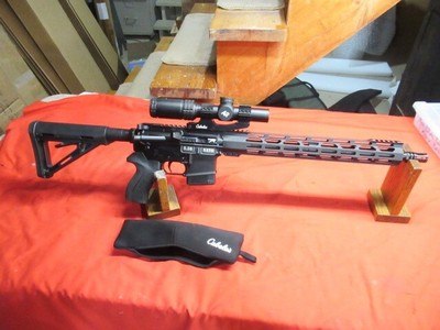 Diamondback DB15 5.56 with Cabelas AR Scope - Image 1 of 19