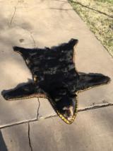 Canadian Black Bear Rug - 1 of 1
