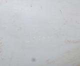 Canada Goose by J.P.Hand - 3 of 3