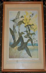 Pair of Lynn Bogue Hunt DuPont Waterfowl prints - 1 of 2