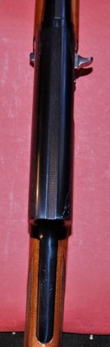 Belgian Browning A5 Twenty Mint condition - 6 of 6