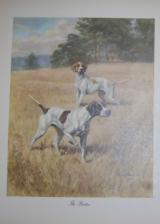 1940s Pointer Print - 1 of 2