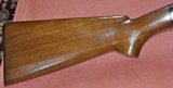 Winchester Pre War 20ga. Solid Rib M12 - 3 of 11