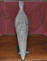 Contemporary Pigeon Decoy - 3 of 4