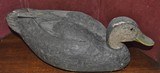 Blackduck Decoy Circa 1942 - 2 of 4