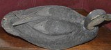 Blackduck Decoy Circa 1942 - 3 of 4