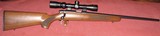 Remington Model 504 22 LR With Scope - 1 of 10