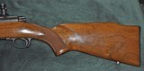 Winchester Pre 64 Model 70 243 Standard - 7 of 11