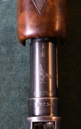 Winchester Pre 64 20Ga. Model 12 Pigeon Grade - 5 of 12