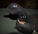 Brant Decoy by Richard Wilbur - 3 of 5