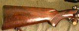 1947 Winchester Model 70 270 WCF - 4 of 13