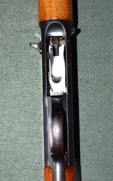 Belgian Browning A5 Twenty - 6 of 14