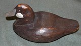 Ruddy Duck Decoy Circa 1940s. - 2 of 3