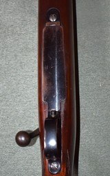 Winchester Model 70 300 H&H - 5 of 14