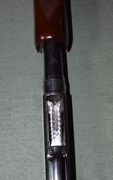 Winchester Model 12 Pigeon Grade Heavy Duck - 6 of 16