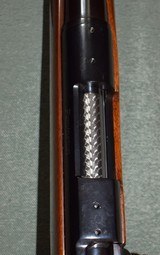Remington 700 ADL 243 - 13 of 14