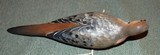 Hand Carved Mourning Dove Decoy - 2 of 3