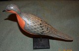 Hand Carved Passenger Pigeon Decoy - 2 of 4