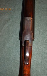Springfield Arms 12 Ga Double - 6 of 11