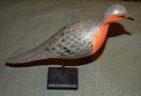 Passenger Pigeon Decoy - 1 of 4