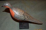 Passenger Pigeon Decoy - 2 of 4