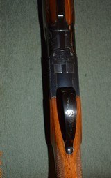 Belgian Browning 20Ga. Grade One Superposed - 9 of 16