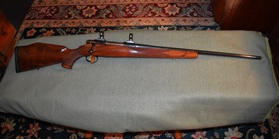 JP Sauer Mint Model 90 270 Win - Image 1 of 11