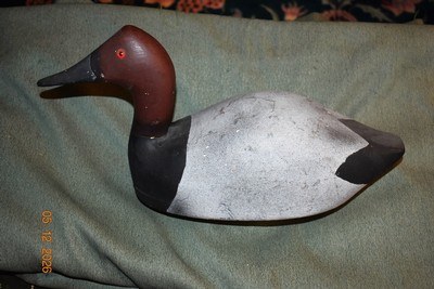 Drake Canvasback - Image 2 of 3