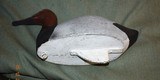 Drake Canvasback - Image 3 of 3