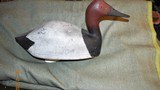Drake Canvasback - Image 1 of 3