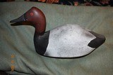 Drake Canvasback - Image 2 of 3