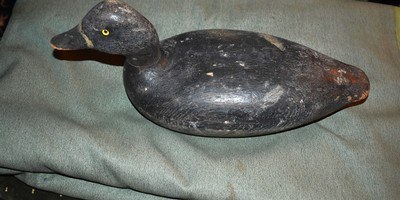 Drake Bluebill - Image 2 of 3