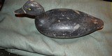 Drake Bluebill - Image 2 of 3
