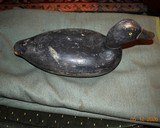 Drake Bluebill - Image 1 of 3