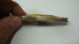 10 DOT CASE 3 BLADE GENUINE STAG HANDLES WHITTLER - 10 of 11